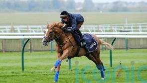 Slipofthepen can write his ticket to Ascot with Sandown victory