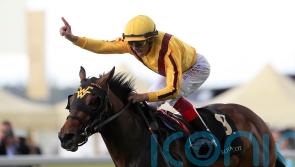 American Rascal following in his mother&rsquo;s illustrious hoofprints