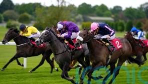 Graceful Thunder shows plenty of dash on Sandown bow