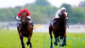 Free Wind makes class count in Middleton Stakes