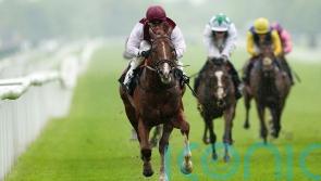 Zoulu Chief takes charge with 150-1 surprise at Newbury