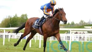 Paddington and Cairo heading for Irish 2,000 Guineas