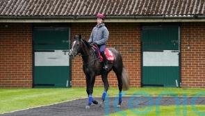 In-demand Murphy has designs on Derby and Oaks double