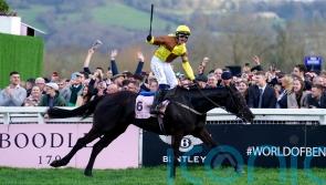 Galopin Des Champs lauded as top jumps performer