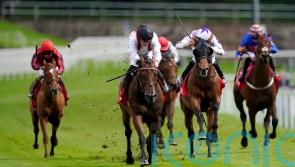 Enemy hunting Henry II honours at Sandown