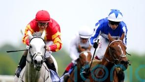 John Murphy dreaming of Derby delight with White Birch