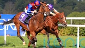 Luxembourg ready for intriguing Curragh exam