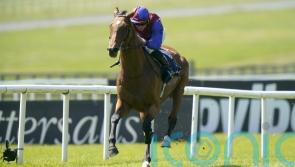 Luxembourg makes all to deny Bay Bridge in Tattersalls Gold Cup