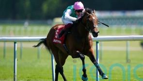 Royal Ascot aims on the horizon for Covey