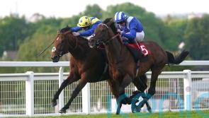 Hardwicke date for Hukum uppermost in Burrows&rsquo; mind