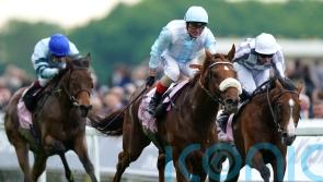 Goodwood Cup goal for Giavellotto