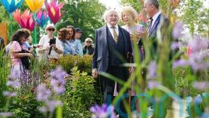 Irish president warns planet is &lsquo;in peril&rsquo; as he launches gardening festival
