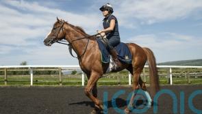 Grand Prix de Paris plans for Dubai Mile following Derby