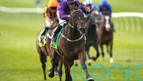 Indestructible will bid to get back on track at Royal Ascot