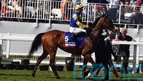 Break on the cards for Heartache Tonight