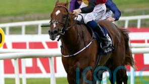 Lavery admits &lsquo;right decision&rsquo; to sell stable star New Energy