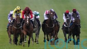 Waipiro coming back in trip following Derby run