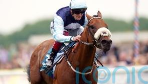 Bethell hoping &lsquo;stable legend&rsquo; Regional can take step up in class in his stride