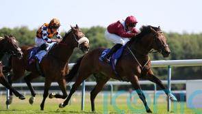 Jumby sparkles over seven furlongs for Gaunt glory