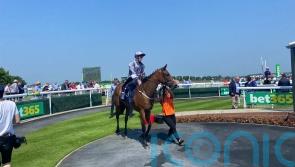 Midnight Affair strikes Hilary Needler gold at Beverley