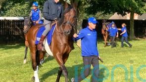 Adayar raring to go in search of Prince of Wales&rsquo;s Stakes gold