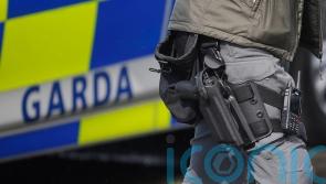 Seven men arrested in garda operation targeting gangs in Mayo and Galway