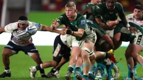 Former London Irish back-row forward Tom Pearson joins Northampton