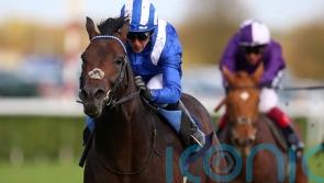 Grand day out in prospect for Israr at York