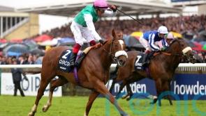 Chaldean all set for Royal Ascot clash of the Classic winners