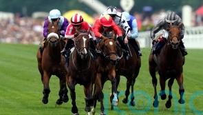 Bradsell repels Highfield Princess in dramatic King&rsquo;s Stand