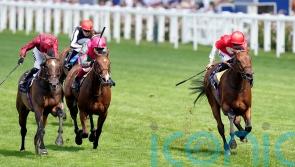 Rogue Millennium stars in Duke of Cambridge success