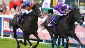 King Of Steel seeking Royal Ascot compensation
