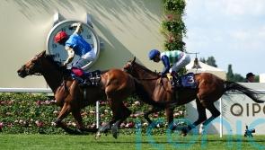 Dettori and Courage Mon Ami land brilliant Gold Cup victory