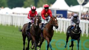 Highfield Princess back for more in Jubilee challenge