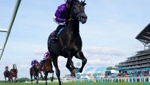 Steel too strong for Royal Ascot rivals