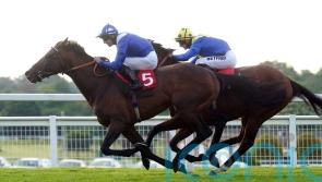 King George in Hukum&rsquo;s sights after bypassing Royal meeting