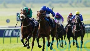 Bin Suroor in no rush with sidelined Mawj