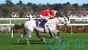 Murphy eager for Auguste Rodin rematch with White Birch