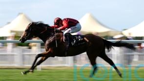 Ascot winner Waipiro to continue career in Hong Kong