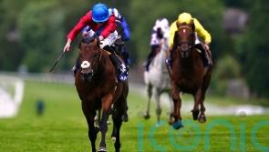 Stoute biding his time with Bay Bridge