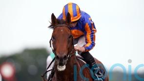 Tabor relishing Eclipse challenge with Paddington