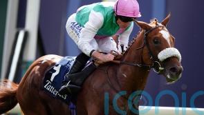 Chaldean and Westover primed for French assignments