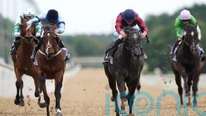 Chipchase winner Tiber Flow testing the waters at five furlongs