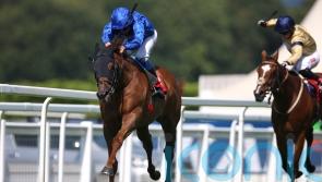 Yibir makes light work of Marathon task at Sandown