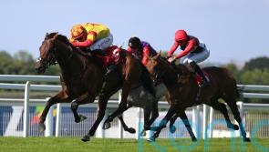 Savvy Victory is a sweet one for Sean Woods