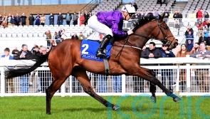 Big targets ahead for classy Bucanero Fuerte