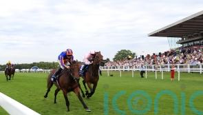 Duffield: Paddington will be hard to beat wherever he goes