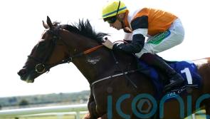 Stack eyeing further Stateside success with Aspen Grove