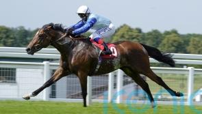 Sonny Liston challenging for big York handicap prize