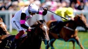 Donnacha O&rsquo;Brien eyeing Phoenix challenge for Porta Fortuna